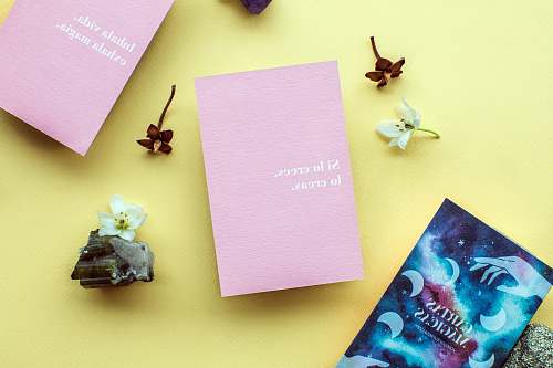 mexico three assorted books on yellow background quote